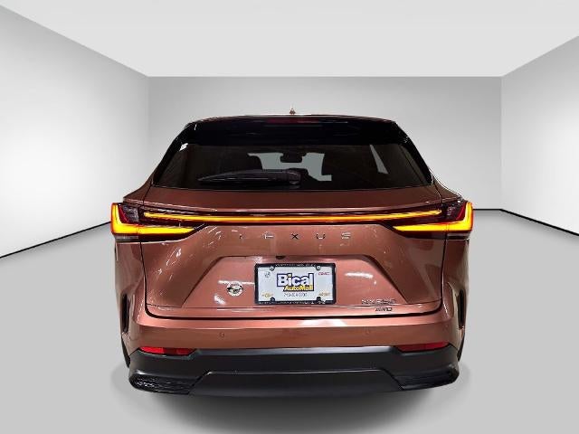 2025 Lexus NX NX 250